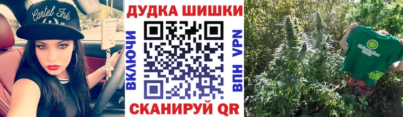 Конопля индика  Таштагол 